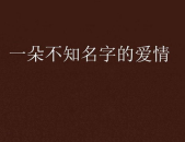 情感名字,一段深情厚谊的时光之旅