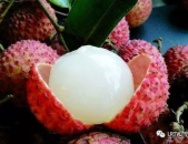 荔枝娱乐圈吃瓜爆料,荔枝吃瓜爆料，明星幕后故事大曝光