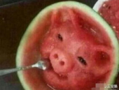 猪头娱乐吃瓜,揭秘娱乐圈背后的那些事儿