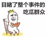 娱乐吃瓜酱工资,揭秘高薪背后的辛酸与荣耀