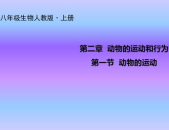 八年级生物课件,探索生命奥秘，构建生物知识体系